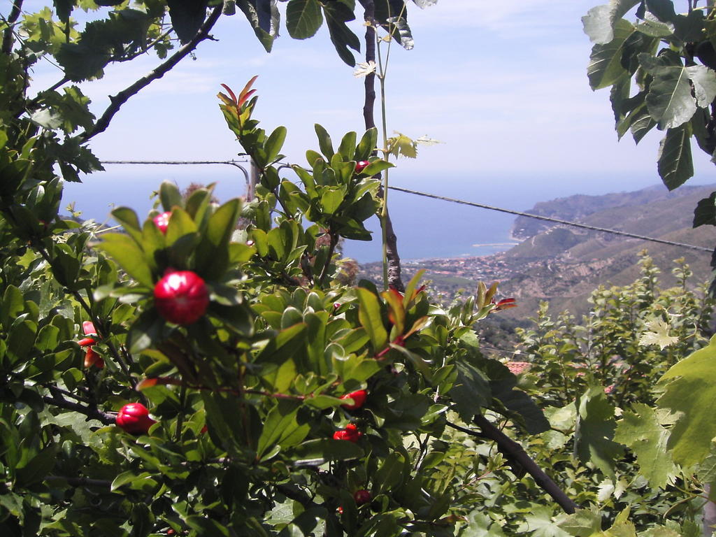 Cilento Bed & Breakfast Сан Мауро Чиленто Екстериор снимка